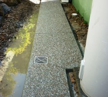 Pathways (5)